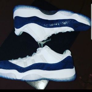 Jordan 11 snake skin